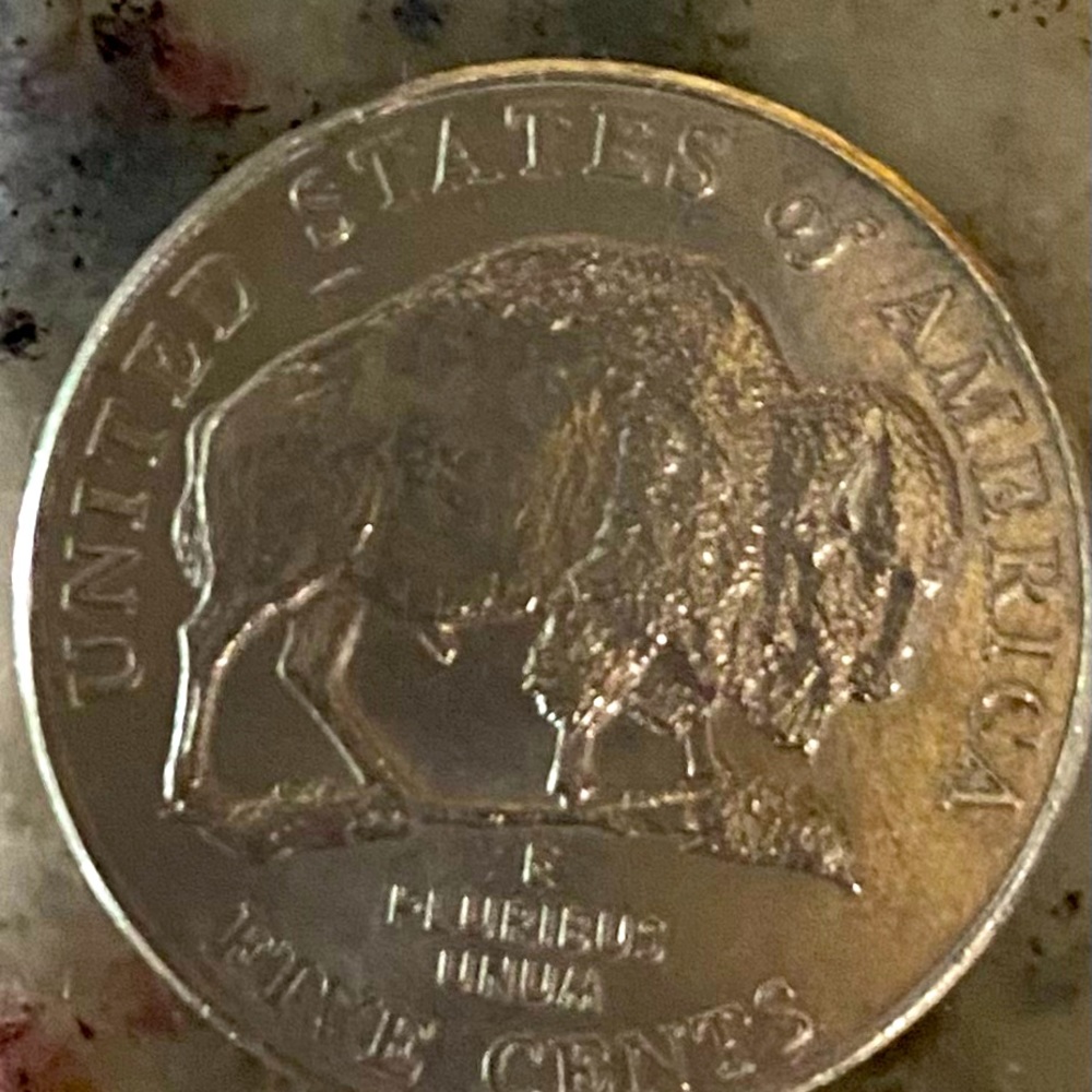 Rare 2005 buffalo back nickel